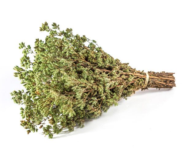 ΡΙΓΑΝΗ ΤΑΫΓΕΤΟΥ 100 ΓΡΑΜ.